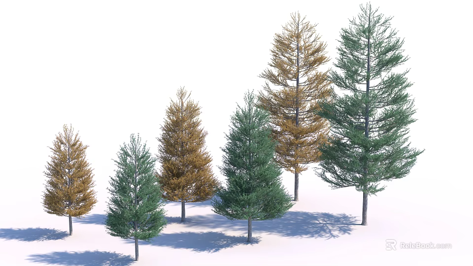 Different Green And Yellow Arbor Trees With Various Heights And Shadows 3d model