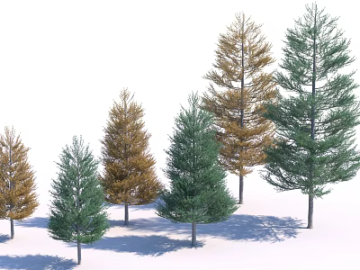 Different Green And Yellow Arbor Trees With Various Heights And Shadows 3d model