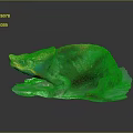 Vibrant Green And Orange Chameleon With Crested Head On White Base Against Dark Background