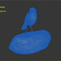 Small Brown Bird Standing On Rock With Yellow Feet And Green Leg Band