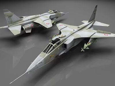 Two Modern Camouflage Military Fighter Jets With Detailed Cockpit And National Emblems 3d model