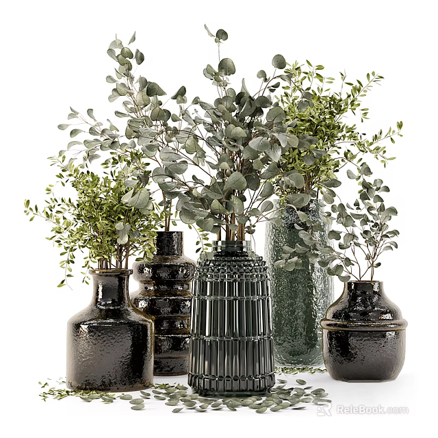 Various Decorative Vases With Green Plants And Eucalyptus Leaves For Home Decor 3d model 