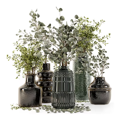 Various Decorative Vases With Green Plants And Eucalyptus Leaves For Home Decor 3d model