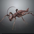 Stick Insect 3D Model with Leaf Like Texture Long Antennae Multiple Legs and Reflective Surface 3d model