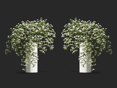 Decorative Lush Green Vines With White Flowers On White Ceramic Vases 3d model