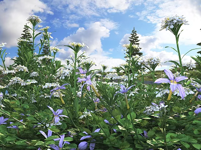 Blooming Purple and White Flowers in Lush Green Meadow Under Blue Sky with White Clouds 3d model