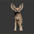 Fennec Fox With Large Ears And Light Brown Fur Standing On Dark Background