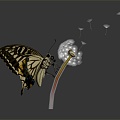 Modern Butterfly Dandelion Colored Butterfly Tabby Butterfly 3d model