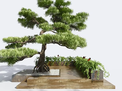 Lush Pine Tree with Exposed Roots Lush Branches on Wooden Platform Green Plants and Red Decorations 3d model