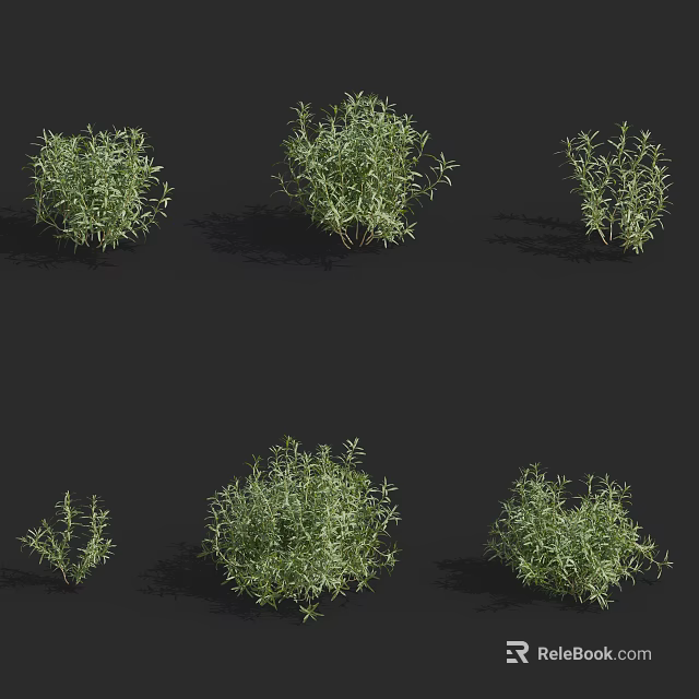 Various Bonsai Potted Plants With Lush Green Foliage And Different Shapes 3d model 