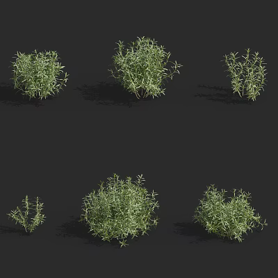 Various Bonsai Potted Plants With Lush Green Foliage And Different Shapes 3d model