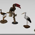 Bird Models of Various Species Perched on Wooden Stands for Display Collection
