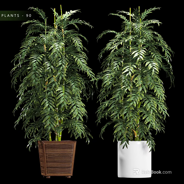 Lush Green Bonsai Potted Plants With Brown Woven And White Planters 3d model 