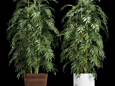 Lush Green Bonsai Potted Plants With Brown Woven And White Planters 3d model
