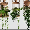 Stylish Hanging Planters With Green Trailing Plants And Decorative Designs
