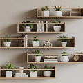Wall Mounted Wooden Shelves With Potted Plants Books And Decorative Items For Home Decor