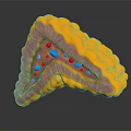 3D Rendered Biological Tissue Section Featuring Yellow Outer Layer Pink Middle and Blue Red Particles