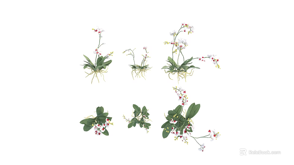 Various Fresh Flowers And Plants With Green Leaves White Pink Blooms And Visible Roots 3d model 