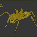 Detailed White Ant 3D Model On Dark Background With Reflection 3d model