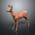 Realistic 3D Deer Model In Light Brown With Reflective Surface And Gray Background 3d model