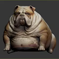 Chubby Brown And White Bulldog With Wrinkled Skin On Dark Smooth Surface