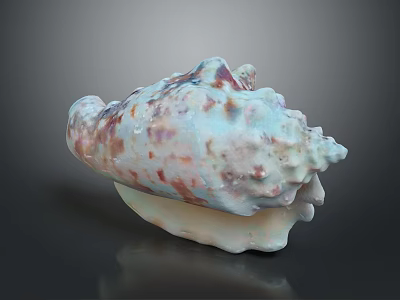 Beautiful Conch With Textured Shell Featuring Blue White And Brown Spots On Dark Background 3d model