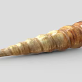 Shell 2 Clam Shell Ornament 3d model