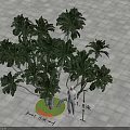 Lush Arbor With Green Foliage 5m Height 6m Crown On Gray Tiled Ground
