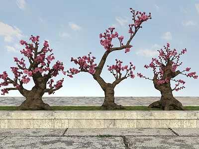 Three Trees With Pink Blossoms Thick Trunks Spreading Branches Blue Sky White Clouds Stone Steps 3d model