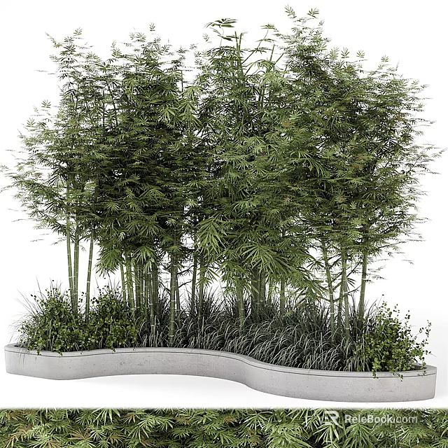 Lush Bamboo Plants with Green Leaves and Tall Stems in Curved Concrete Planter 3d model 
