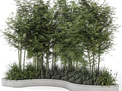 Lush Bamboo Plants with Green Leaves and Tall Stems in Curved Concrete Planter 3d model