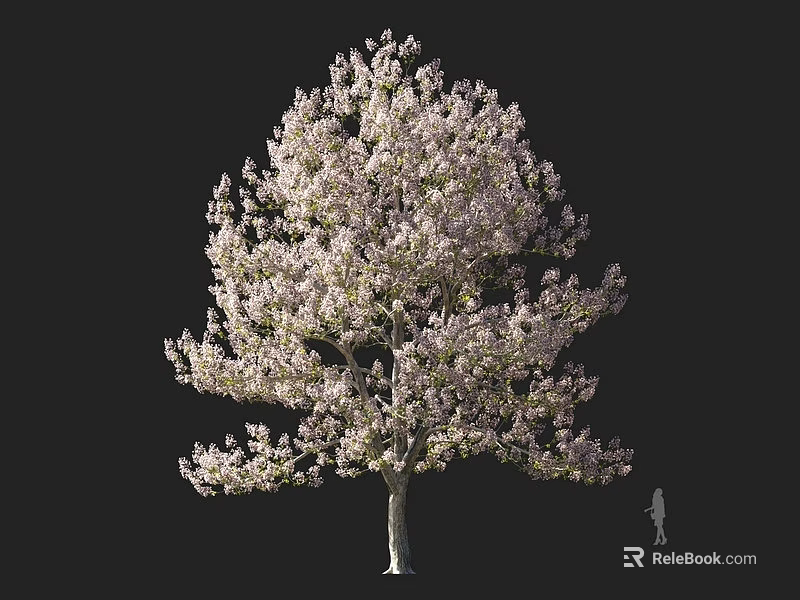 Tall Lush Tree With Pink Blossoms And Small Figure For Scale Against Dark Background 3d model 