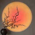 Spotlight Downlight Sunset Light Flora Bonsai 3d model