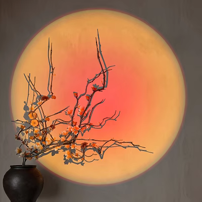Downlight Spotlight with Orange Red Light Creates Warm Soft Atmosphere with Vase Branches Flowers 3d model