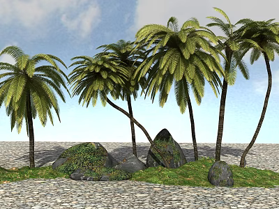 Tall Palm Trees With Green Grass Rocks And Gravel Ground Under Blue Sky 3d model