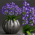 Purple Flower Potted Plant with Lush Green Leaves in Silver Striped Decorative Pot