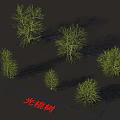Leafless Trees Of Various Sizes Arranged On Dark Background With Blue Frame 3d model