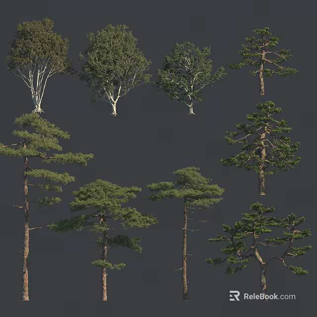 Diverse Arbor Trees With Various Canopy Shapes Trunk Structures and Lush Foliage 3d model 