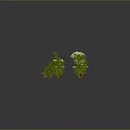 Multiple Green Plants With White Flowers In Different Forms On Dark Background For