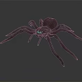 3D Rendered Spider With Long Legs And Brownish Realistic Detailed Design
