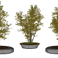 Landscape tree pool 3d model