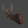 Realistic Deer Head Taxidermy Mount Isolated on Gray Background for Home Decoration