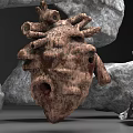 Decorative Collection of Various Rocks Horned Skulls and Skeleton Ornaments