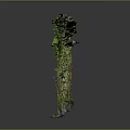 Layered Rock Structure Covered With Green Moss And Small Plants 3d model