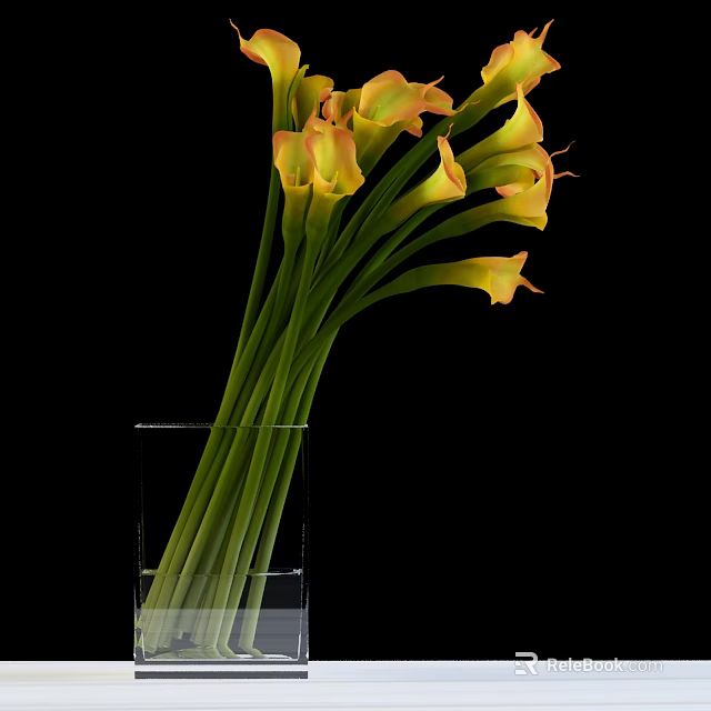 Fresh Yellow Orange Calla Lilies in Clear Glass Vase on Black Background 3d model 