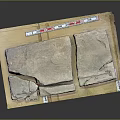 Natural Wood And Stone Slabs Display With Textured Surfaces And Sample Labels