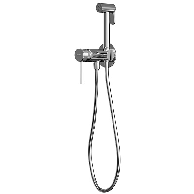 Modern Chrome Shower Head With Handheld Sprayer For Bathroom Fixture Design 3d model