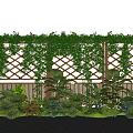 Lush Plant Combination With Green Vines And Wooden Lattice In Garden