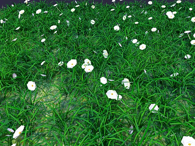 Lush Green Terrain Covered with Dense Grass and Fresh White Flowers 3d model