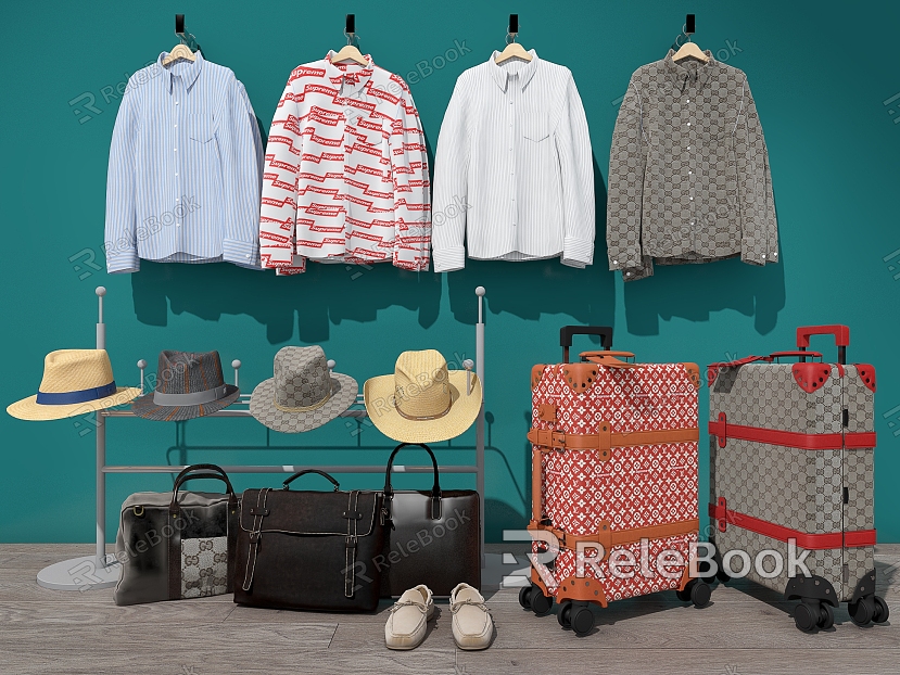 modern clothes luggage clothing combination luxury model